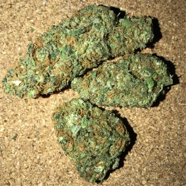 Bubble-Gum-1.jpg