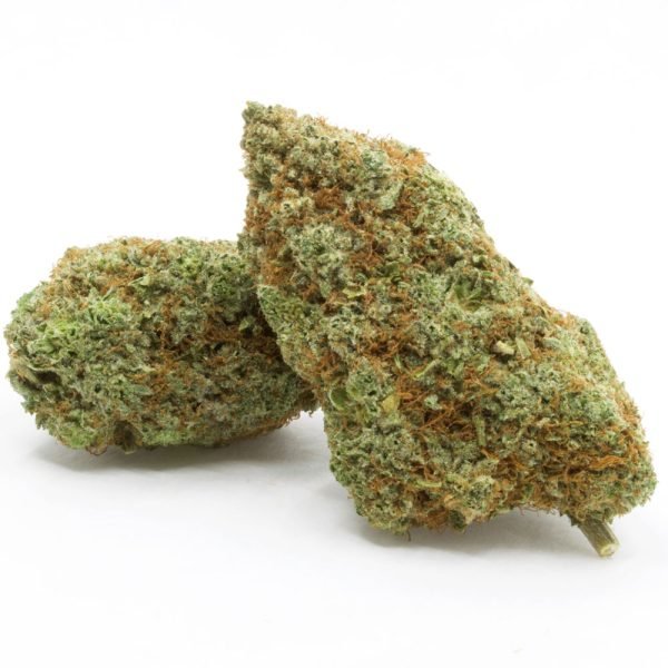 Gorilla-Glue-1.jpg