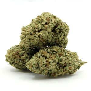 Miracle Alien Cookies – Flower - Image 1