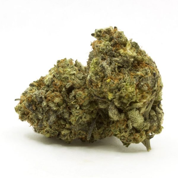 Zeus-OG.jpg